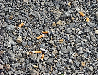 Image showing Scattered cigarette butts