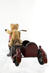 Image showing Teddy biker