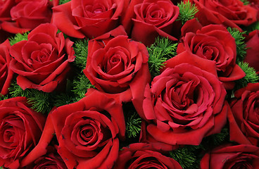 Image showing Red roses