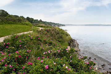 Image showing Newport Rhode Island Shoreline