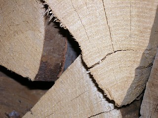 Image showing firewood