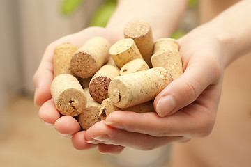 Image showing Wine corks