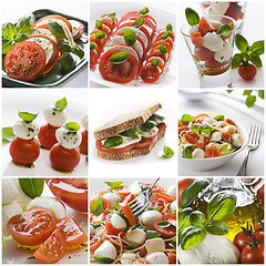 Image showing Mozzarella collage