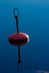 Image showing Buoy