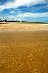 Image showing crystalline green sea in Alagoas, Brazil