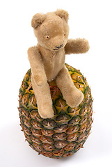 Image showing Pineapple teddy