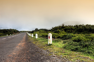 Image showing Road in Plateau of Parque natural de Madeira, Madeira island,  Portugal