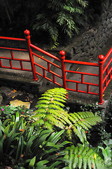 Image showing Monte Palace Tropical Garden– Monte, Madeira