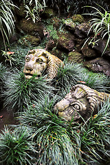 Image showing Monte Palace Tropical Garden– Monte, Madeira