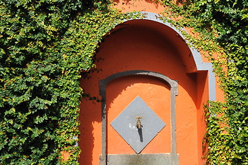 Image showing Ancient sink surrounded by green creeper - Madeira