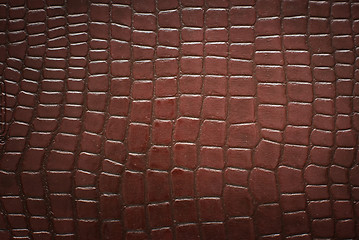 Image showing crocodile skin pattern