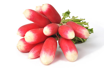 Image showing Radish