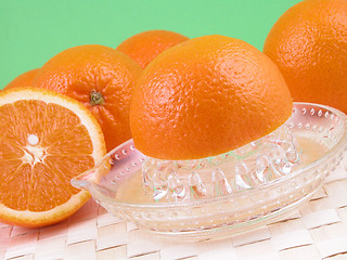 Image showing orange squeezer