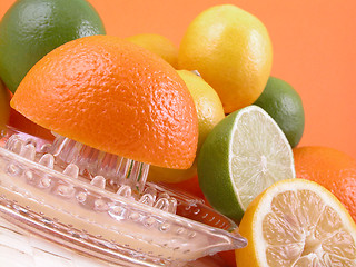 Image showing citrus squeezer