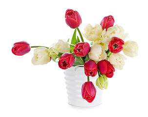 Image showing Red and white tulips