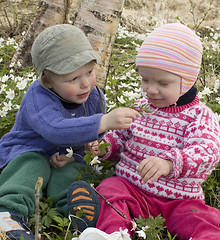 Image showing Children picking flowers