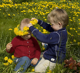 Image showing Children picking flowers