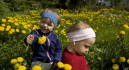 Image showing Children picking flowers