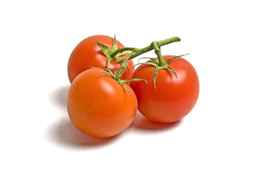 Image showing Three fresh tomatoes 