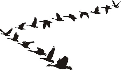 Image showing Geese flying in the shape of the unit