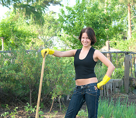 Image showing gardening