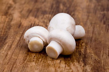 Image showing three fresh champignon