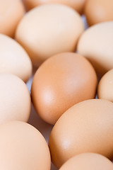 Image showing brown eggs