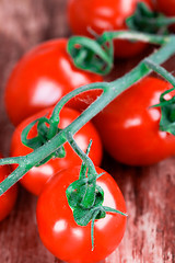 Image showing tomatoes bunch