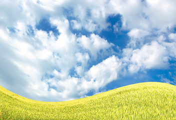 Image showing Sky and meadows