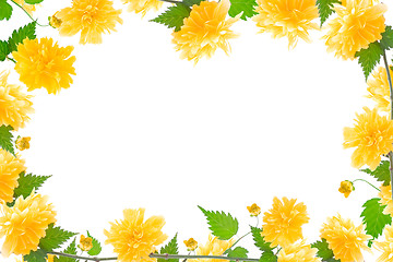 Image showing yellow flower frame