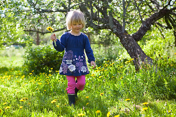 Image showing Little girl with dandelions