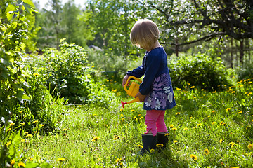 Image showing Little girl watering flowers