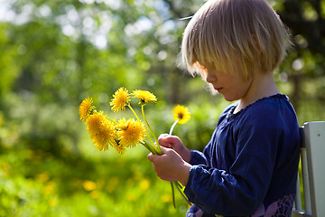 Image showing Little girl with dandelions