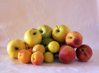 Image showing Multi fresh fruits 