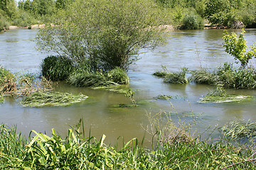 Image showing River