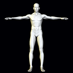 Image showing Anatomy Man