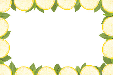 Image showing frame made from yellow lemons slice and green leaves