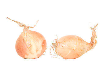 Image showing onion