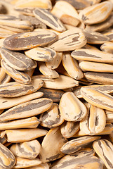 Image showing Sunflower seeds