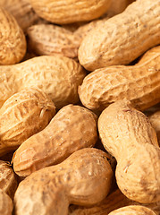 Image showing Peanuts