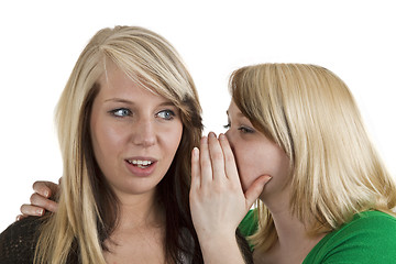 Image showing Girls Gossip