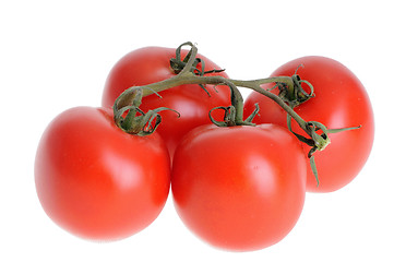 Image showing tomato isolated on a white studio background   