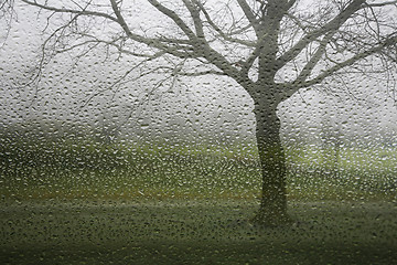 Image showing It is wet outside