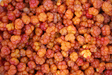 Image showing Cloudberry background 