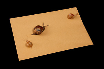 Image showing Snail mail