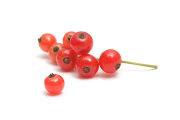 Image showing Red currant isolated on white