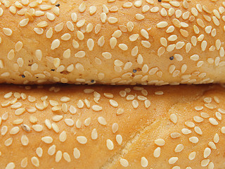 Image showing Closeup of two bagels with sesame seeds