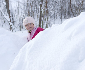 Image showing Playing in the snow