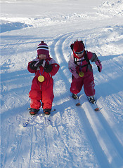 Image showing Ski race