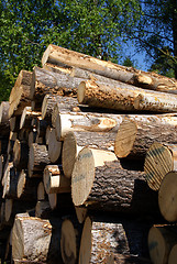 Image showing Timber Logs Piled Up